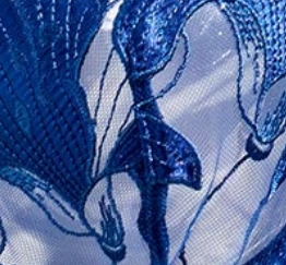 bleu roi