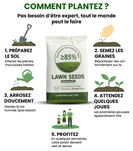 Graines Hybrides  de Jardin Magiques