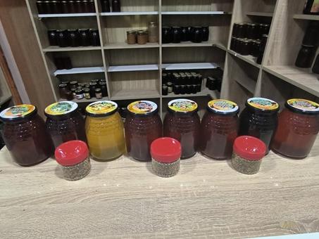 منتجات خلية النحل