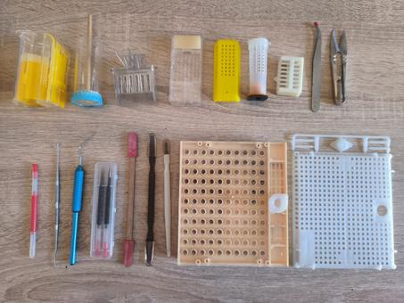 أدوات جمع الغداء الملكي و تربية الملكات