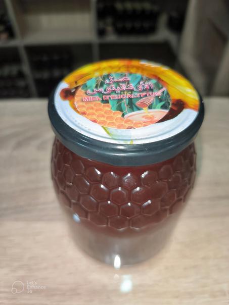 عسل الاوكالبتوس