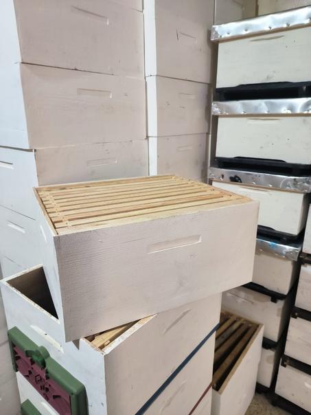 زيادة عاسلة لانجستروث خشبية – جودة عالية لمربي النحل