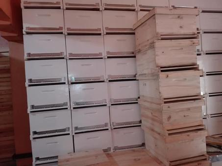 صناديق النحل