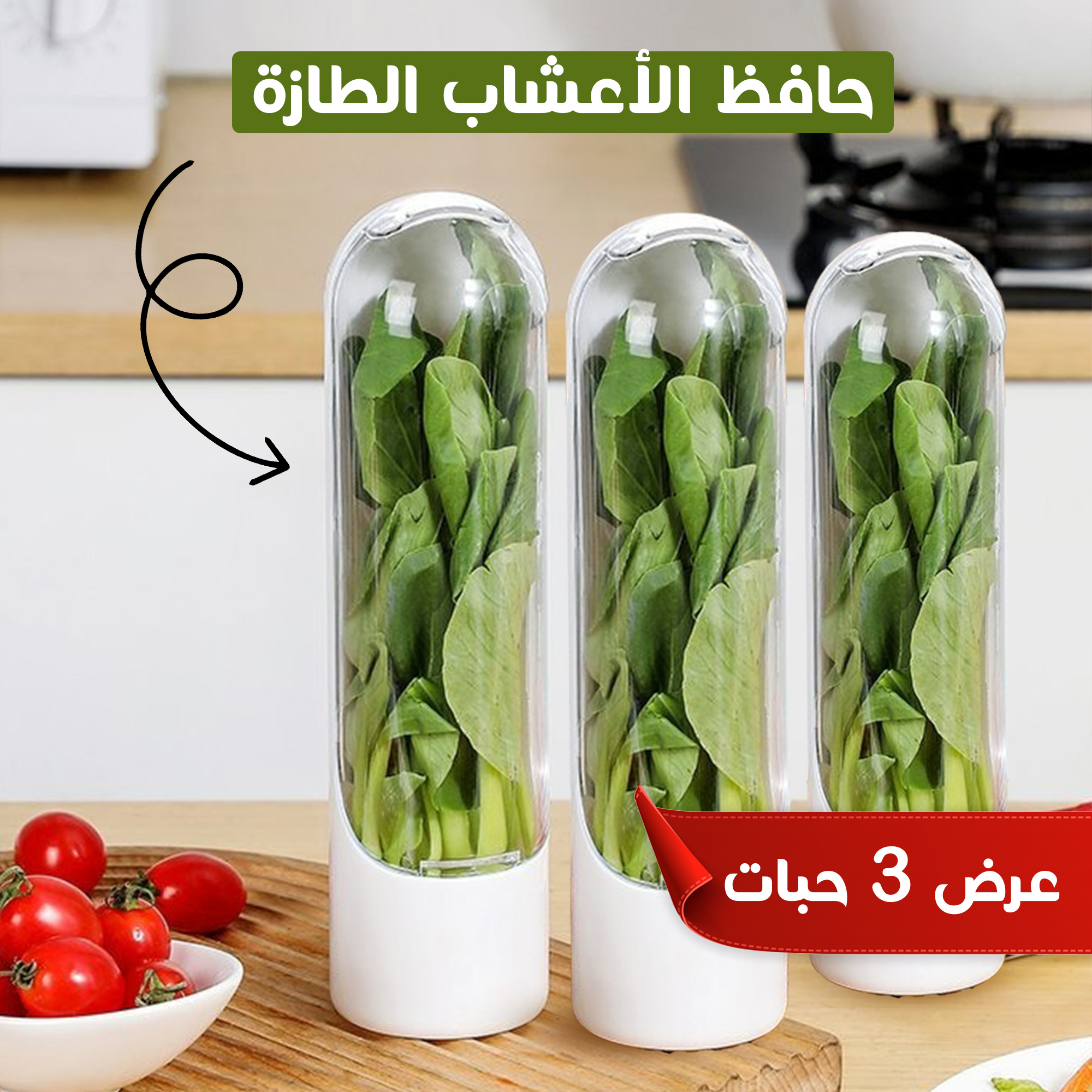 Set of 3 Herb Keepers