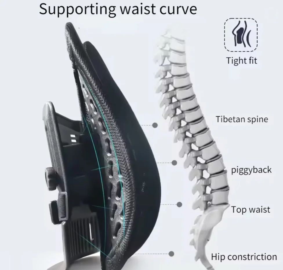 جهاز دعم الظهر