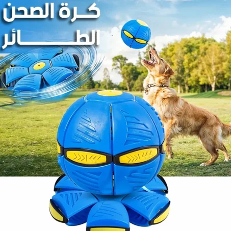 كرة الصحن الطائر