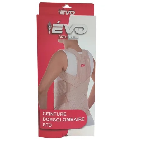 Ceinture dorsolombaire standard