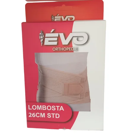 Ceinture lombaire standard