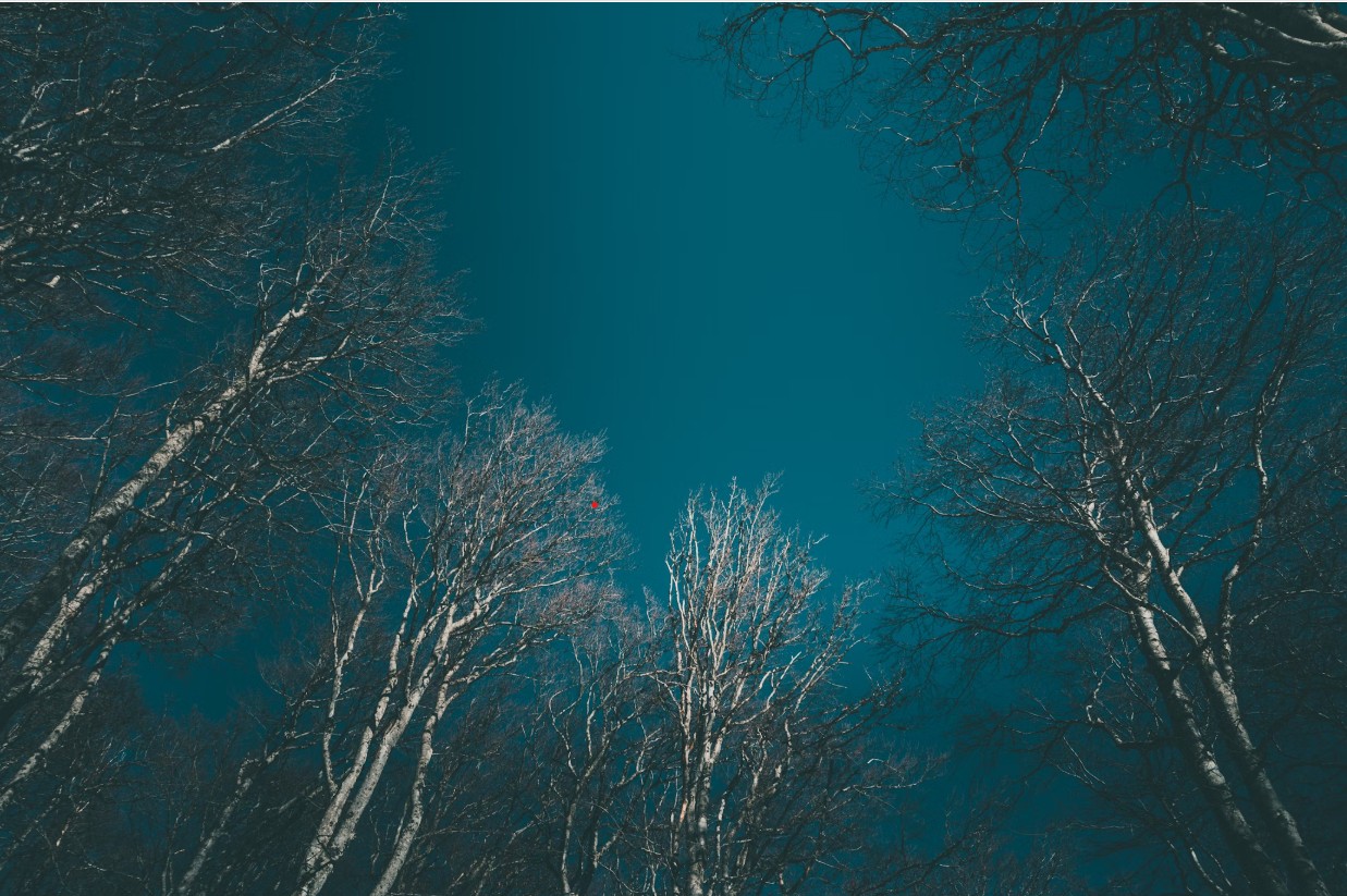 slider-image