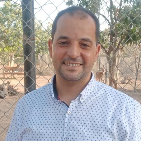 محمد الديب
