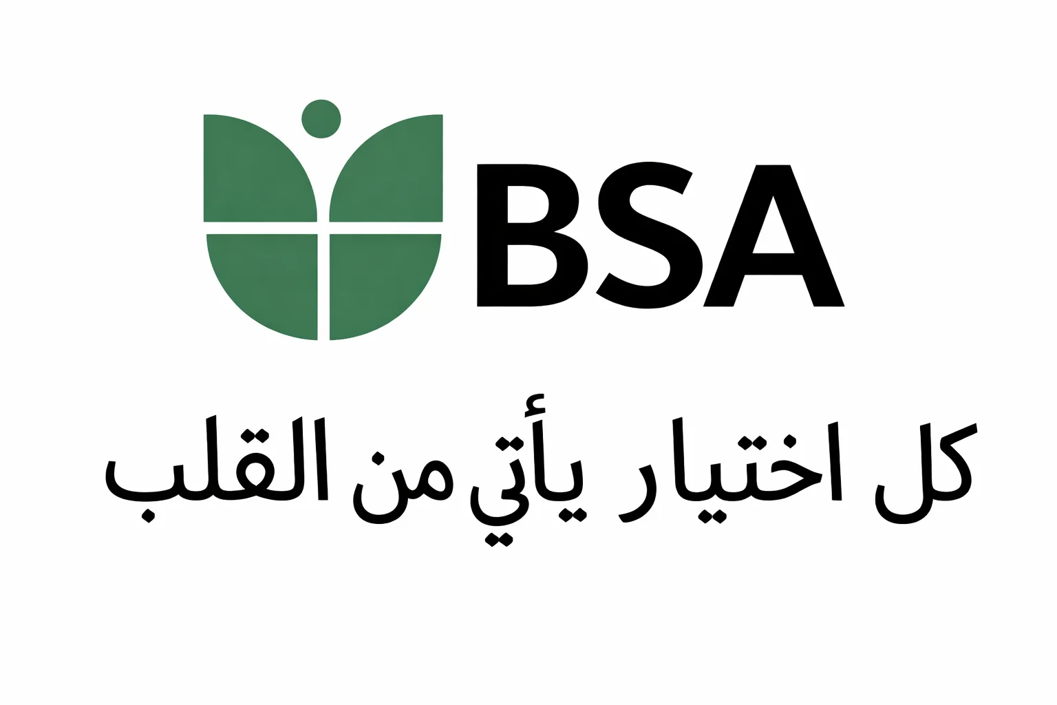 BSAstore