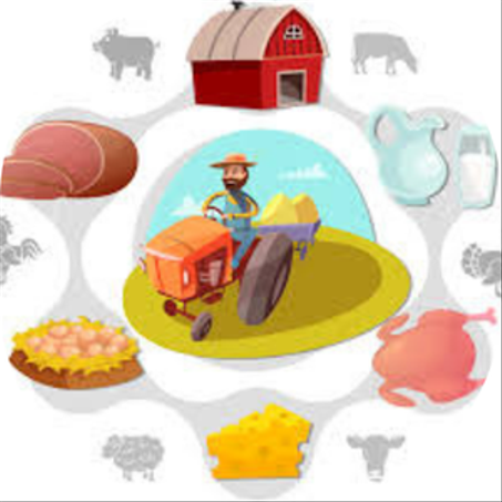 منتجات حيوانات أليفة