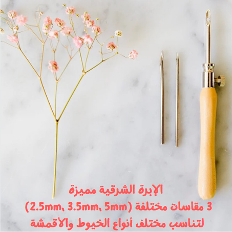 الإبرة الشرقية