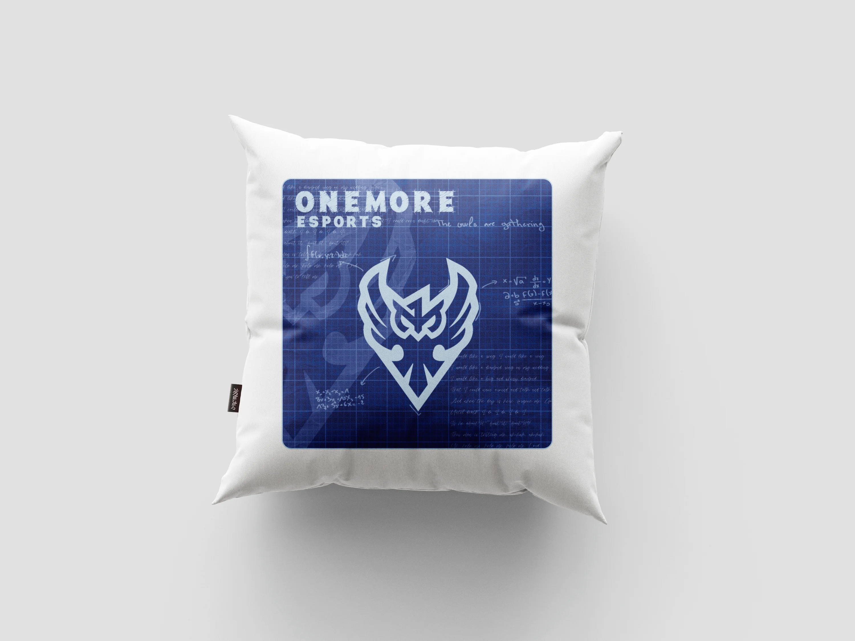 1M Blueprint Pillow