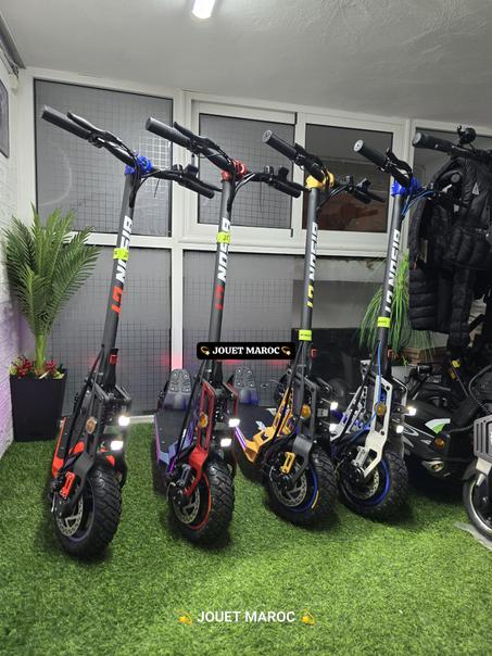 TROTTINETTE BISON GT 1000