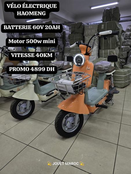 VÉLO ÉLECTRIQUE HAOMENG