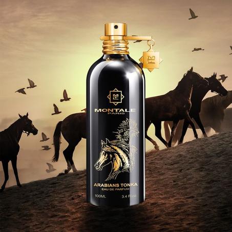 Arabians Tonka Montale