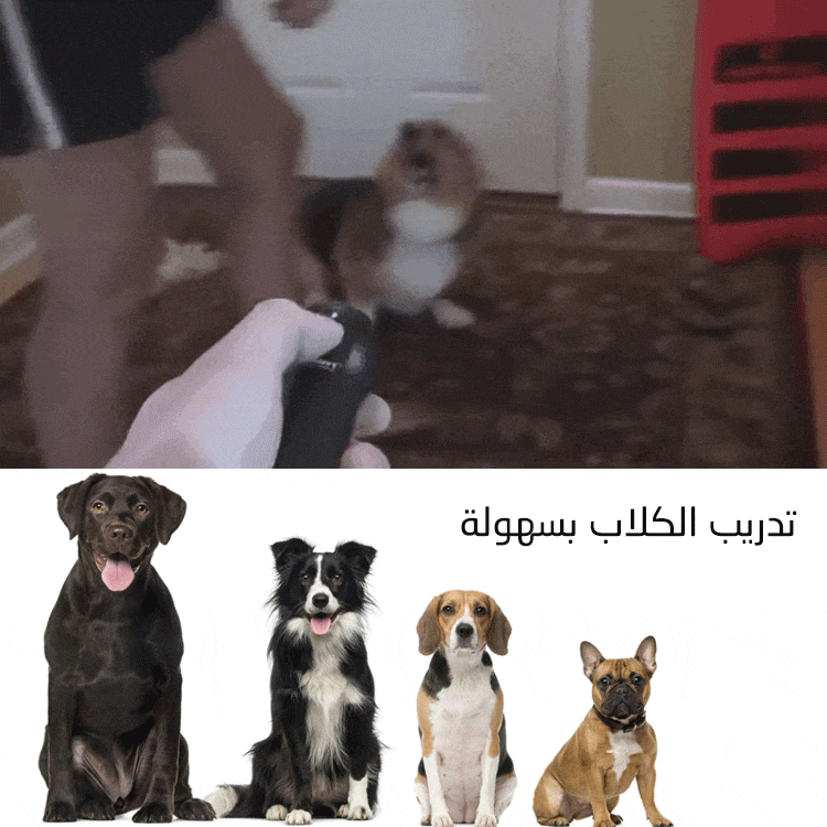 جهاز لطرد الكلاب