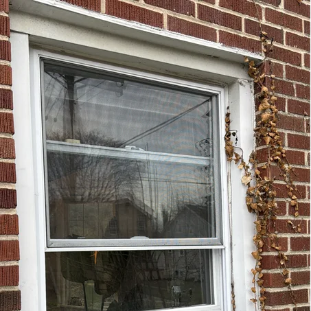 windows