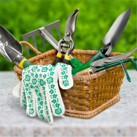 الحديقة والهواء الطلق 🌿☀️