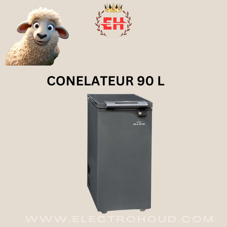 CONGELATEUR 90 L