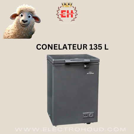 CONGELATEUR 135 L