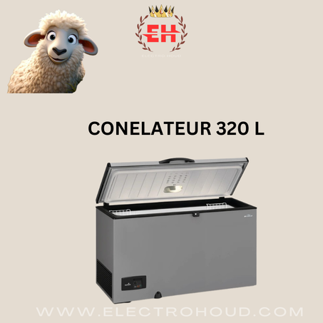 CONGELATEUR 320 L DAIKO