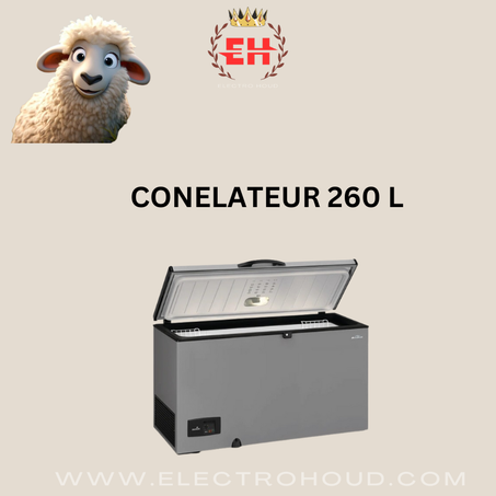 CONGELATEUR 260 L DAIKO