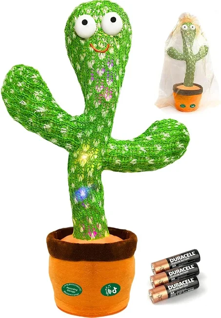 الصبار الراقص والمغني