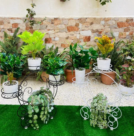 حامل نباتات دائري - Support de Plantes Circulaire