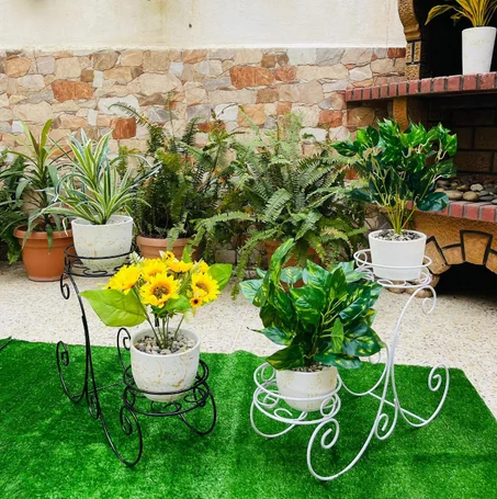 حامل 2 نباتات منخفض - Support 2 Plantes