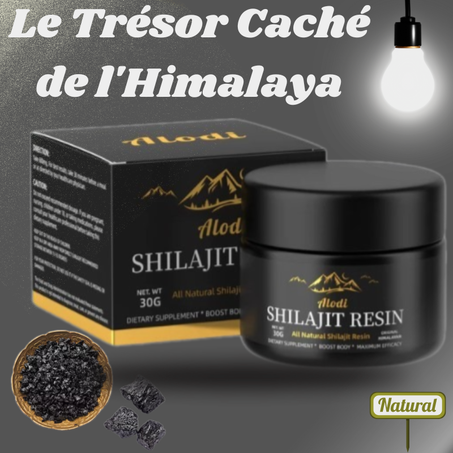 Découvrez le Pouvoir Naturel du Shilajit pour une Vie Énergique et Équilibrée