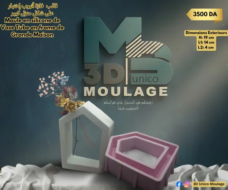 Vase Tube en frome de Grande Maison قالب  فازة أنبوب إختبار  على شكل منزل كبير