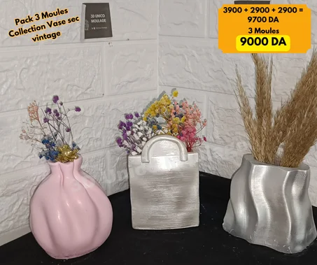 Pack 3 Moules Vase a Sec
