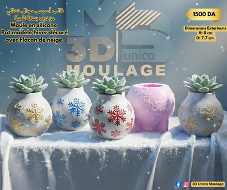 Pot modele hiver décoré avec Flacon de neige    أصيص مودال شتائي مزخرف بندفة ثلجية