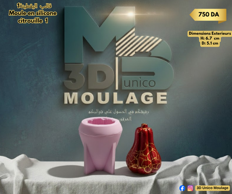 Moule en silicone  citrouille  1قالب  اليقطينة