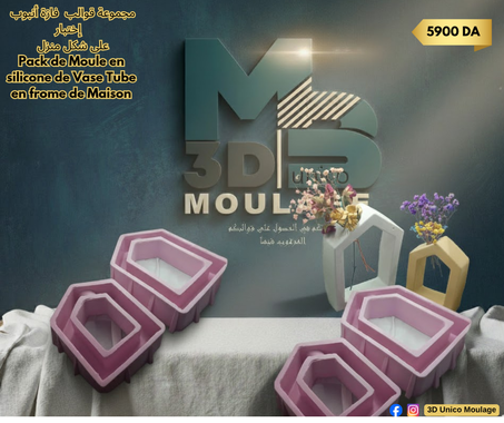 Pack de Moule en silicone de Vase Tube en frome de Maison مجموعة قوالب  فازة أنبوب إختبار   على شكل منزل