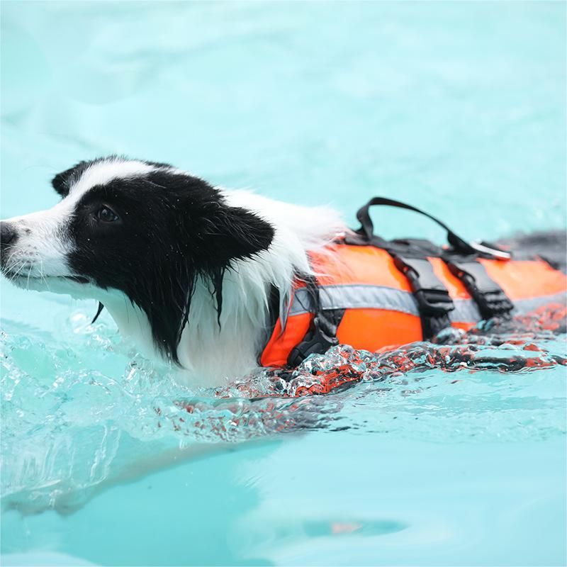 حزام صدر احترافي للكلاب – تصميم مريح وآمن للمشي والتدريب مع شريط عاكس ومقبض علوي للتحكم