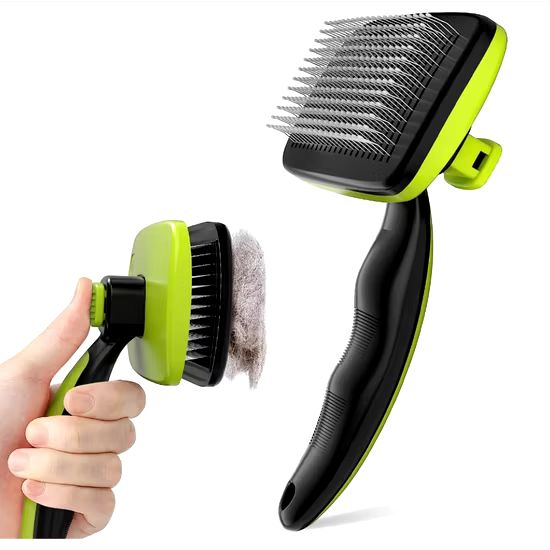 stores/f5c46efa85ea83e0fd0b715699cd6830/products/93Jorvw95UqttZuQAFX5fRqRsGri1hnQ2JCDuZyB.jpg