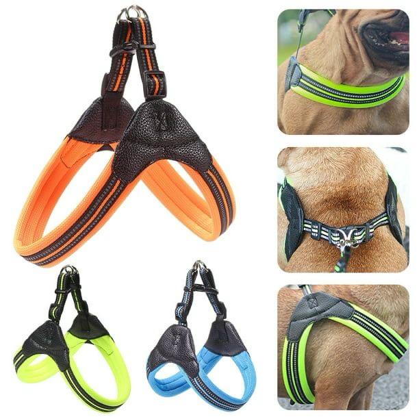  حزام صدر شبكي للكلاب والقطط – خفيف الوزن، عاكس، وأنيق بألوان متعددة