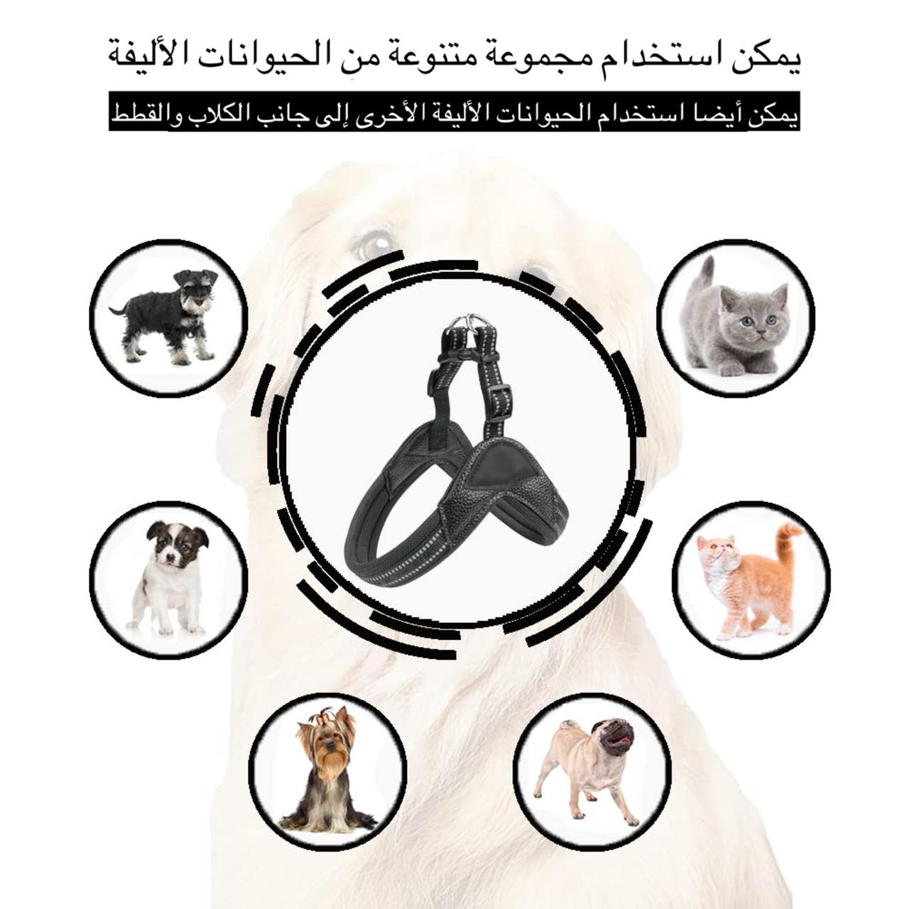  حزام صدر شبكي للكلاب والقطط – خفيف الوزن، عاكس، وأنيق بألوان متعددة