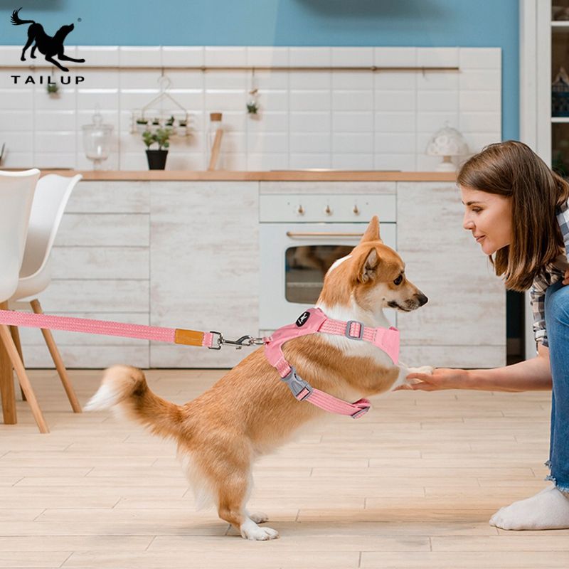 حزام صدر شبكي مريح للكلاب والقطط – بألوان متعددة وتصميم قابل للتعديل