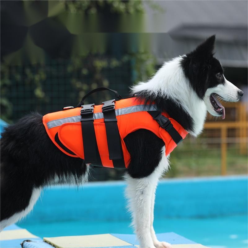 حزام صدر احترافي للكلاب – تصميم مريح وآمن للمشي والتدريب مع شريط عاكس ومقبض علوي للتحكم