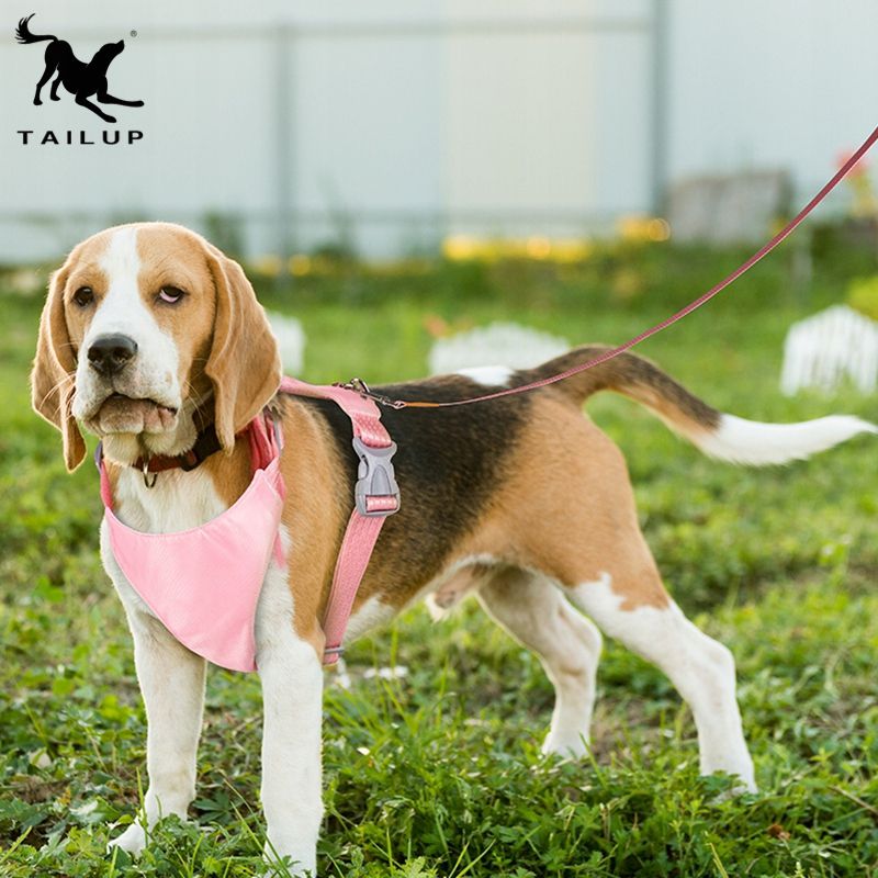حزام صدر شبكي مريح للكلاب والقطط – بألوان متعددة وتصميم قابل للتعديل