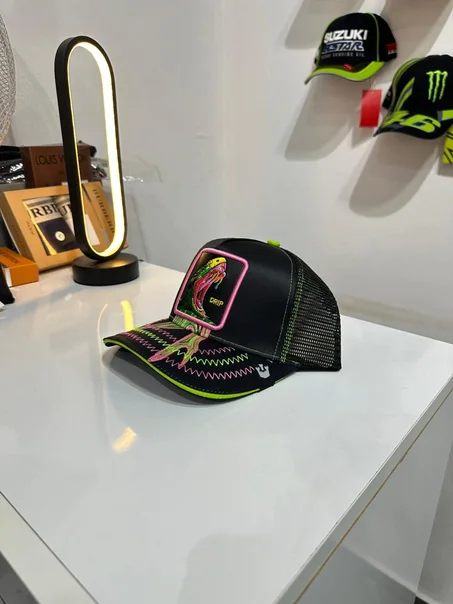 Casquette Goorin Drip Snake