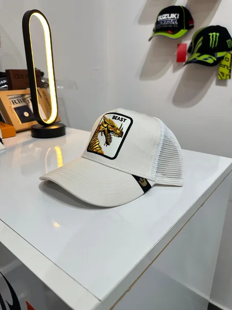 Casquette Goorin Beast