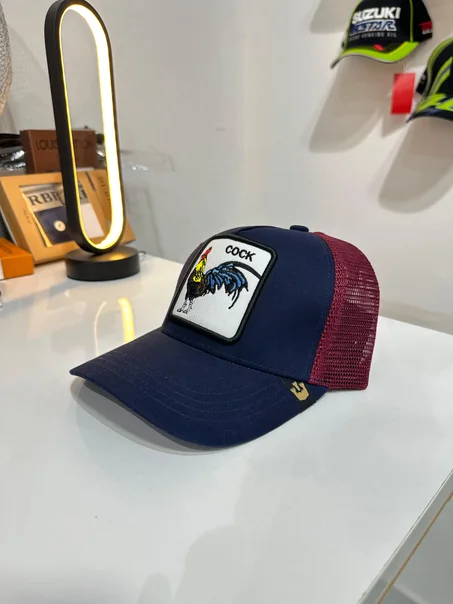 Casquette Goorin Cock