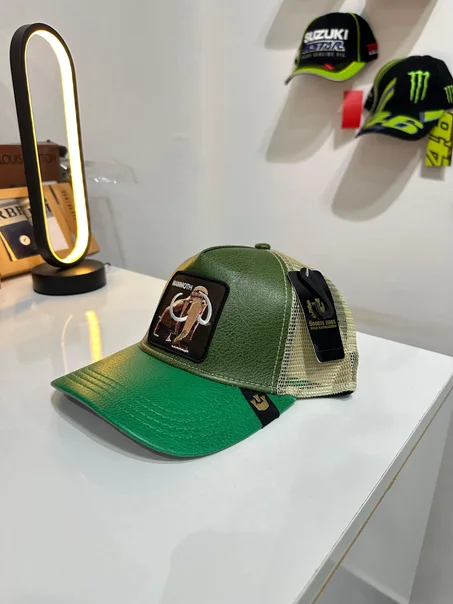 Casquette Goorin Mamoth