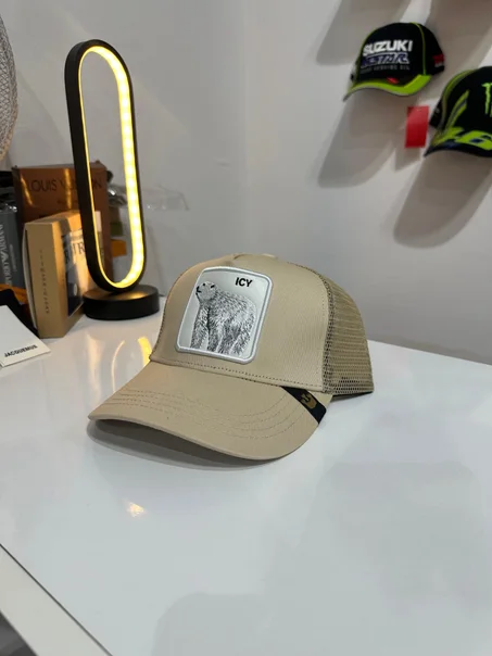 Casquette Goorin Icy
