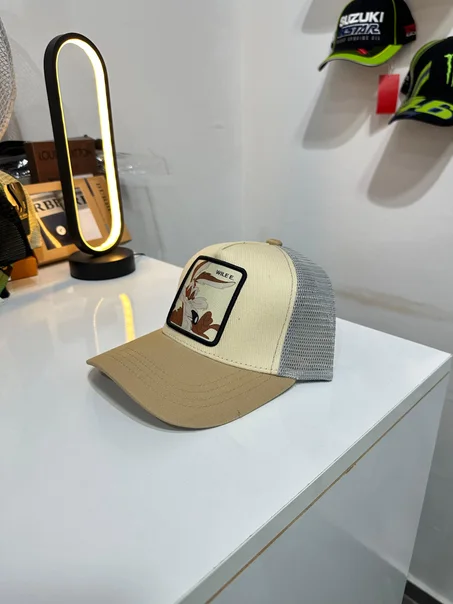 Casquette Goorin Wile E